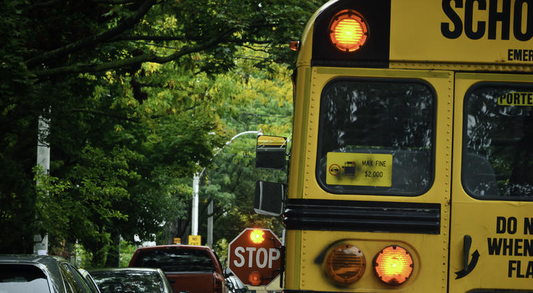 School Bus