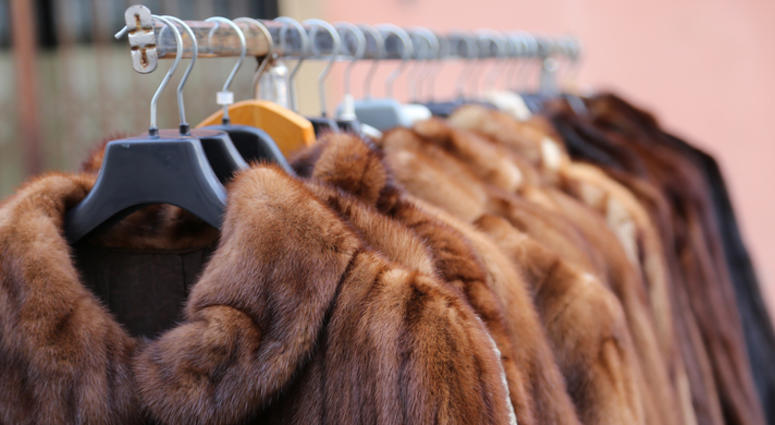 Fur coats Fur coats