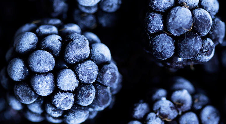 Frozen blackberries Frozen blackberries