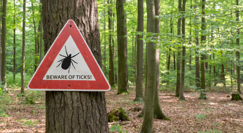 Beware of ticks Beware of ticks