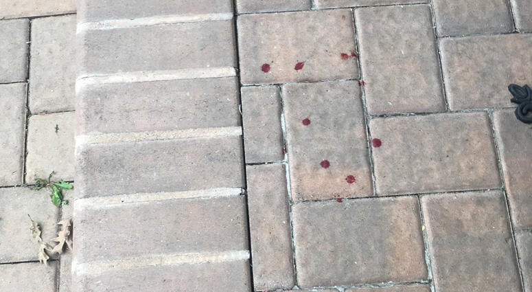 Blood on ground at home invasion house Greenlawn home invasion