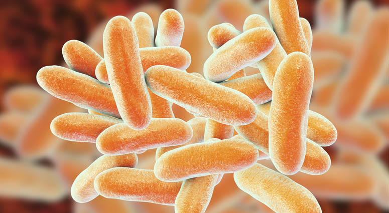 Legionnaires' Disease Legionnaires' Disease