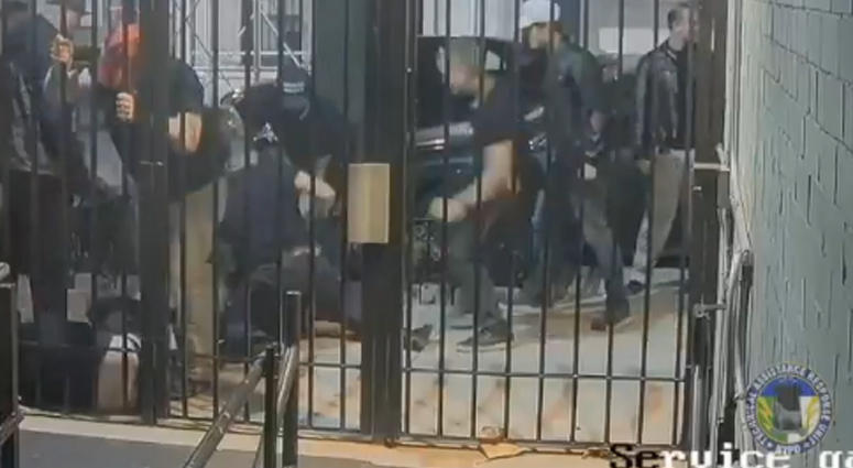 Proud Boys Brawl Proud Boys Brawl