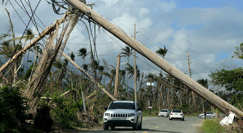 Downed electrical poles at Playa Punta Santiago in Humacao, Puerto Rico in December 2017 Downed electrical poles at Playa Punta Santiago in Humacao, Puerto Rico in December 2017