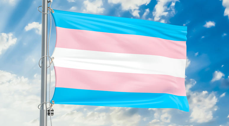 Transgender Pride Flag Transgender Pride Flag