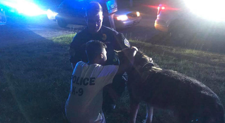 A Georgia police officer praying with Jalen Manns before his brain surgery. Cops Pray With Boy