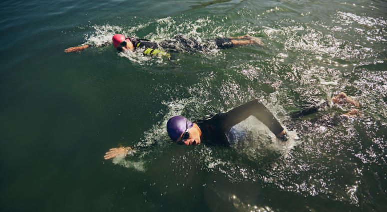 Swimmers in a triathlon. triathlon