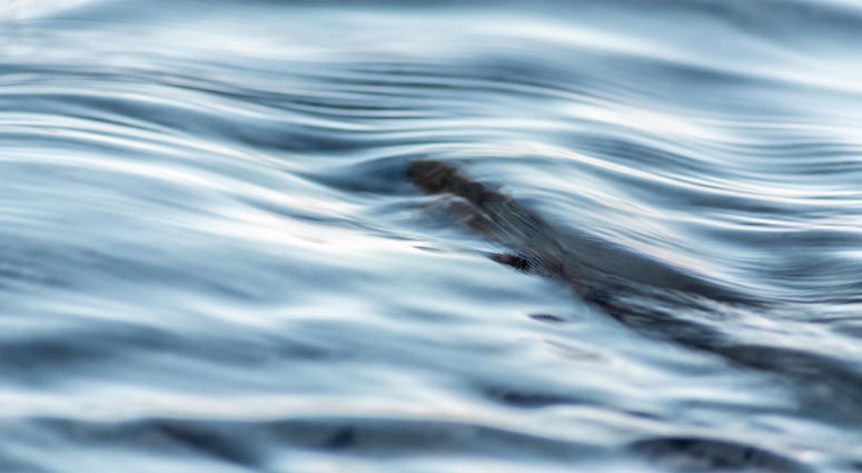 River file River file