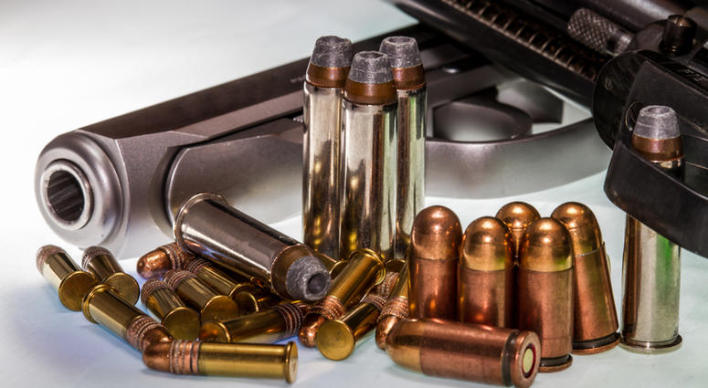Guns file image Guns file image