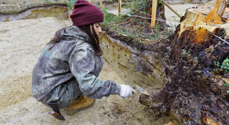 A woman inside an excavation site. Archaeology