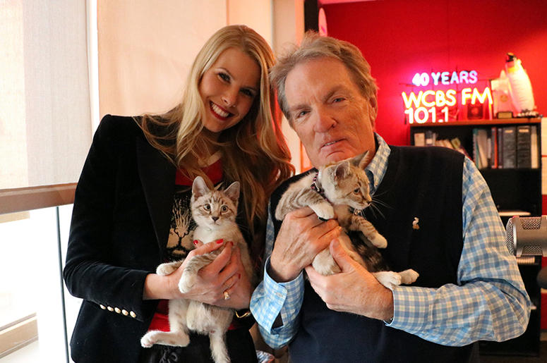 Beth Stern with Kittens