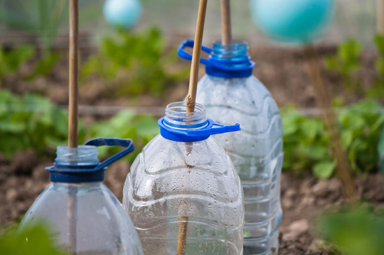 Recycled bottles in a garden