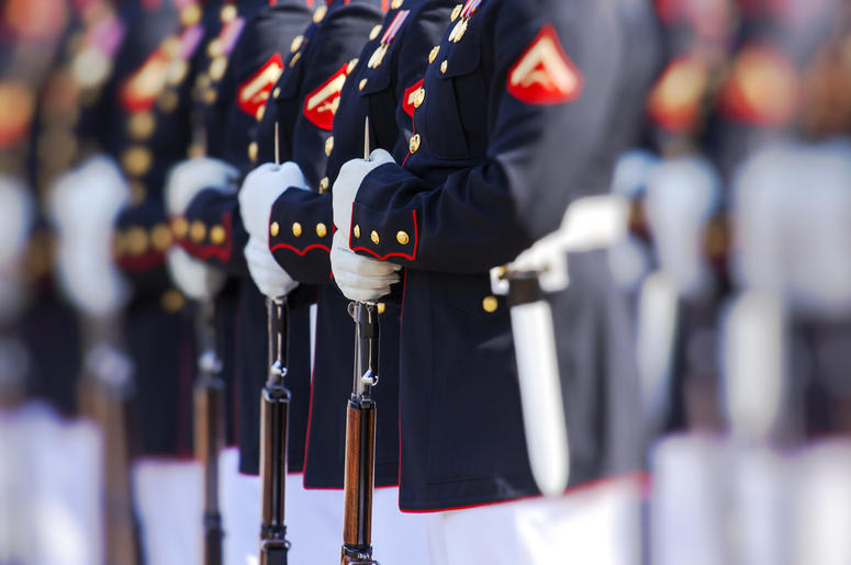 Soldiers At Attention