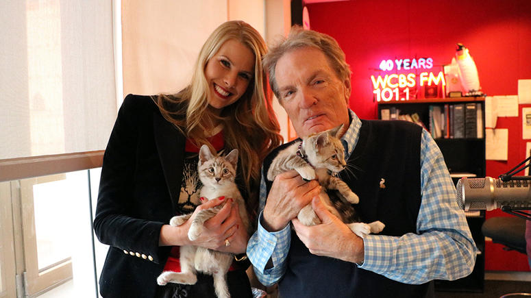 Beth Stern with Kittens