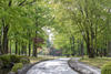 Park Getty Images