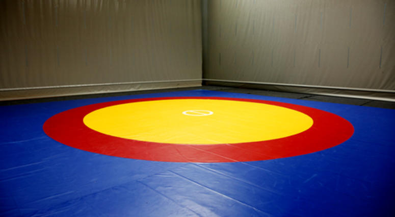 Mat for wrestling Wrestling mat
