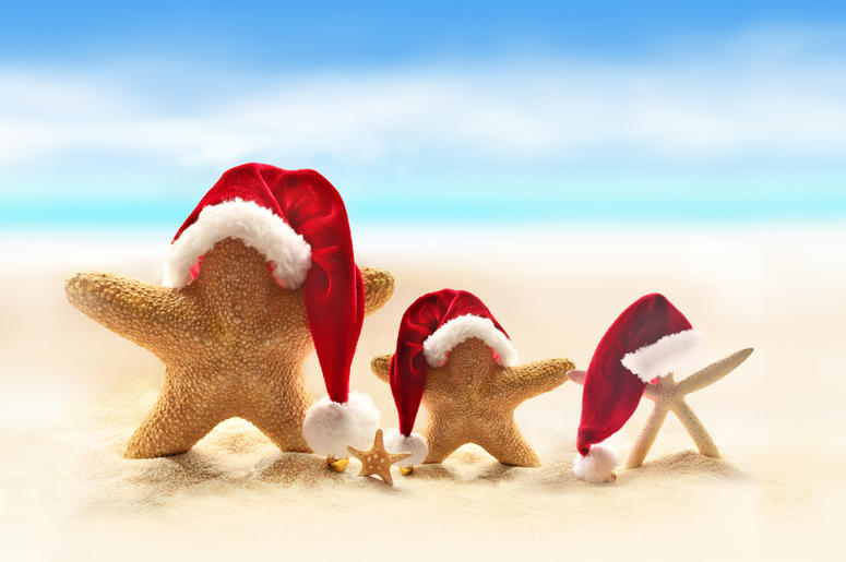 Starfish on summer beach and Santa hat Starfish on summer beach and Santa hat