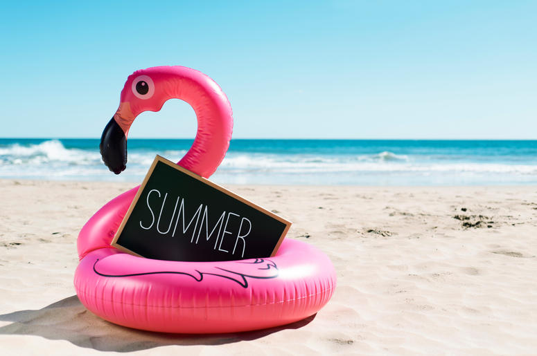 flamingo swim ring flamingo swim ring