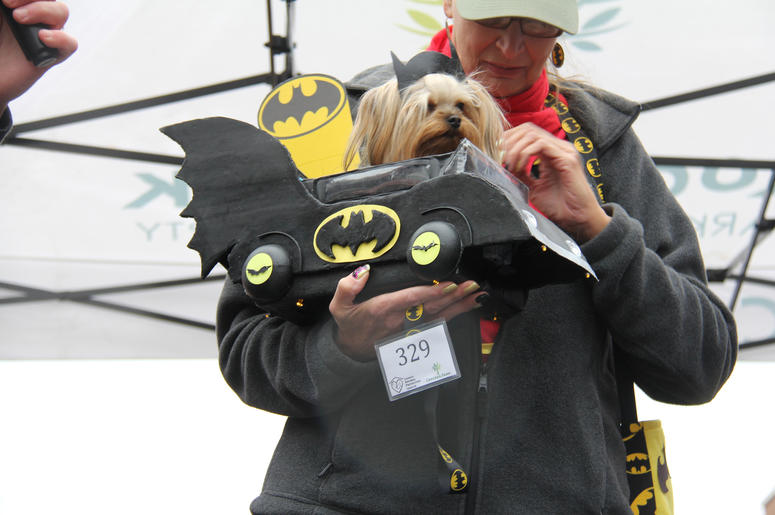 Pet Halloween Costume Ideas Pet Halloween Costume Ideas