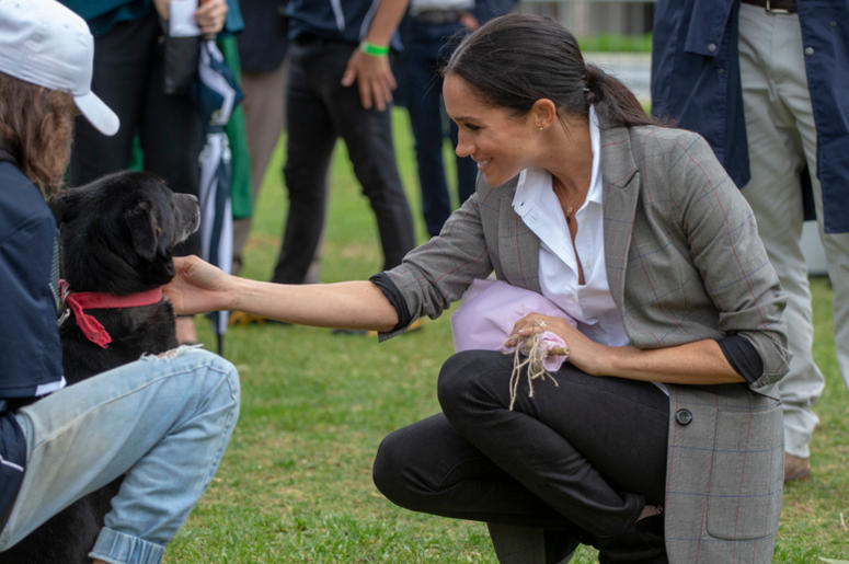 The Duchess of Sussex strokes a dog as she attends a community picnic in Victoria Park in Dubbo, New South Wales, on the second day of the royal couple's visit to Australia. The Duchess of Sussex strokes a dog as she attends a community picnic in Victoria Park in Dubbo, New South Wales, on the second day of the royal couple's visit to Australia.