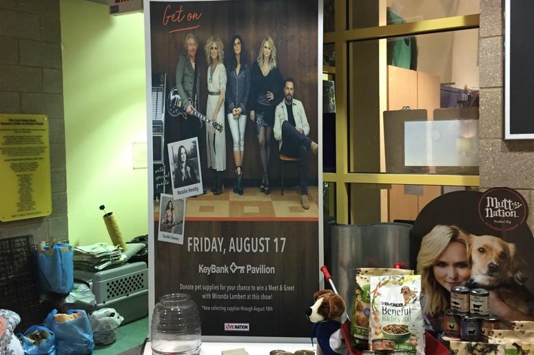Miranda Lambert Helping Animal Friends Feed Local Pets Miranda Lambert