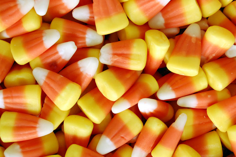 candy corn candy corn