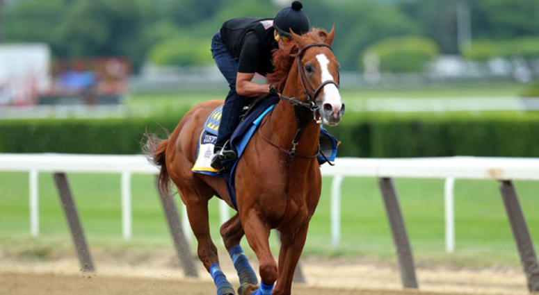 Triple crown contender Justify works out at Belmont Park on June 7, 2018. Triple crown contender Justify works out at Belmont Park on June 7, 2018.