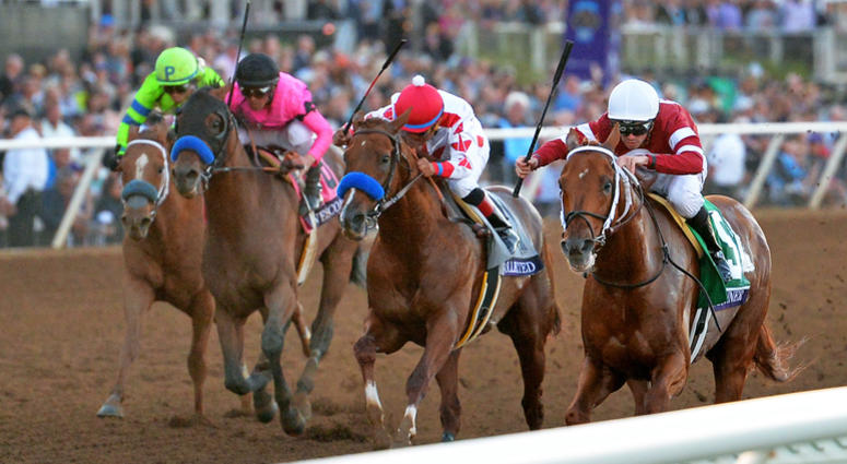 Nov 4, 2017; Del Mar, CA, USA; Gunner Runner (right) leads Collected (middle right) and West Coast (middle left) and War Story (left) to the finish line for the win in the 12th race during the 34th Breeders Cup. Jake Roth-USA TODAY Sports Nov 4, 2017; Del Mar, CA, USA; Gunner Runner (right) leads Collected (middle right) and West Coast (middle left) and War Story (left) to the finish line for the win in the 12th race during the 34th Breeders Cup. Jake Roth-USA TODAY Sports