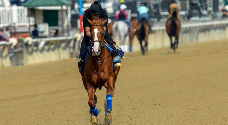 Jun 8, 2018; Elmont, NY, USA; Justify trains on the main track in preparation for the 150th running of the Belmont Stakes at Belmont Park. Mandatory Credit: Dennis Schneidler-USA TODAY Sports