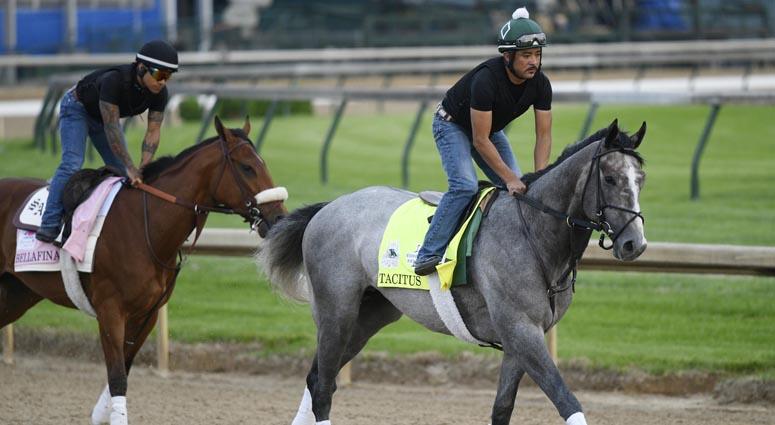 An exercise rider works Kentucky Derby entry Tacitus during morning workouts at Churchill Downs on May 1, 2019, in Louisville, Kentucky. An exercise rider works Kentucky Derby entry Tacitus during morning workouts at Churchill Downs on May 1, 2019, in Louisville, Kentucky.