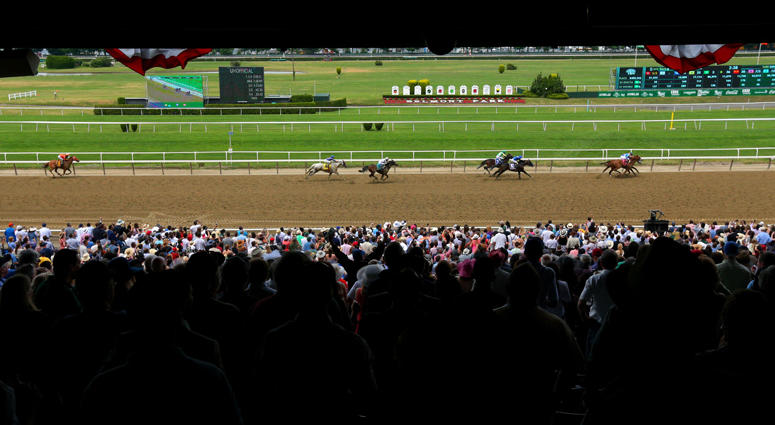 The 2015 Belmont Stakes The 2015 Belmont Stakes