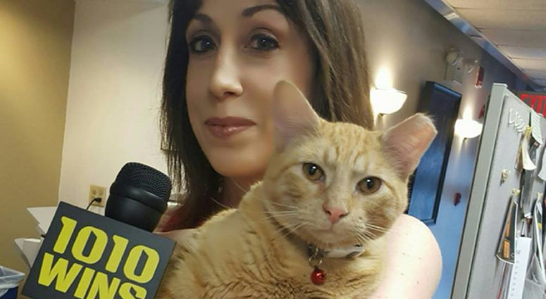 1010 WINS' Susan Richard with Hamlet, The Algonquin Cat