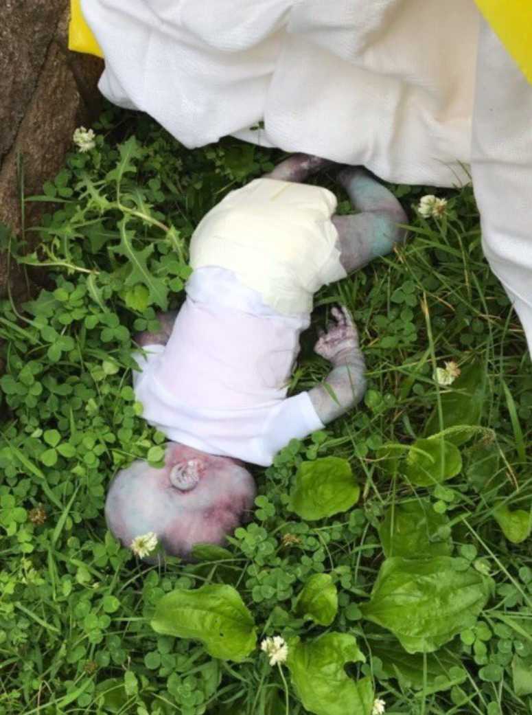 Doll believed to be a dead baby found in Queens Doll believed to be a dead baby found in Queens
