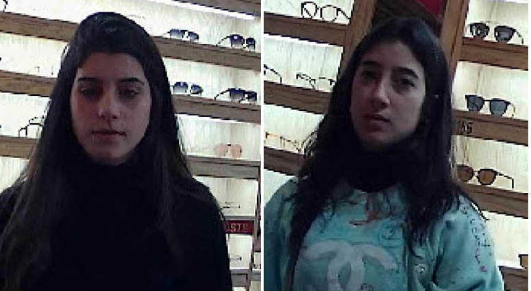 SoHo Stolen Credit Card Suspects SoHo Stolen Credit Card Suspects