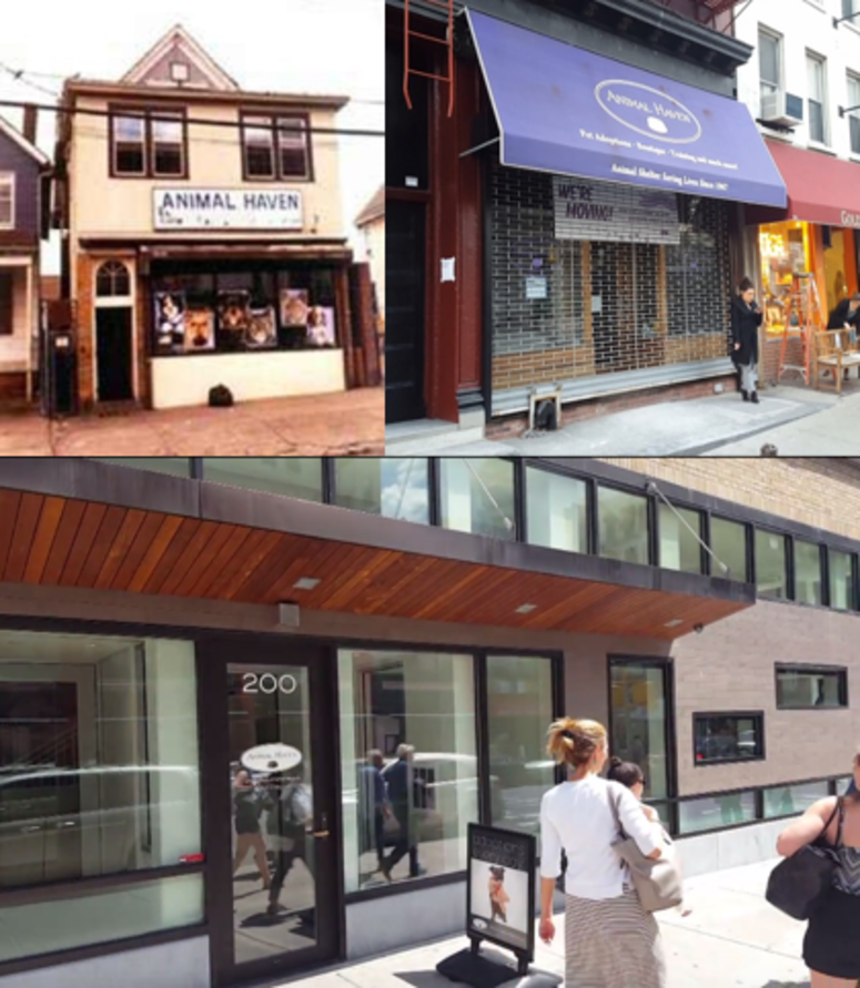 (Clockwise from top left) Animal Haven’s Shelter in Flushing, Queens, 251 Centre Street, and the new location at 200 Centre Street, Manhattan