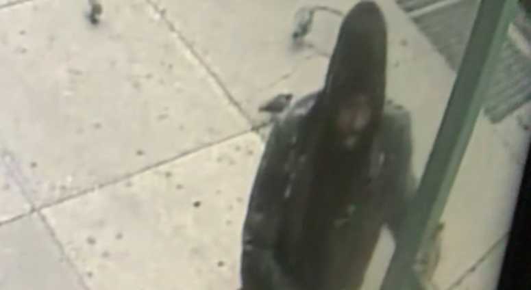 Cops are searching for this man in connection with the rape. Bronx rape