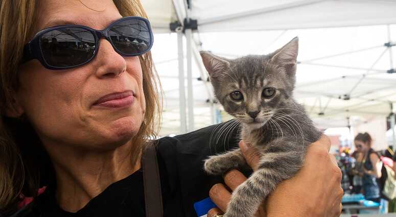 Mayor's Alliance for NYC's Animals Adoptapalooza (Photo: Carol Zytnik)
