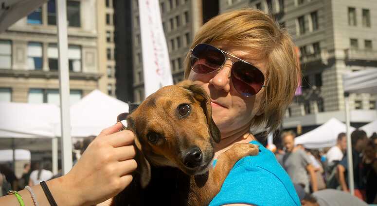 Mayor's Alliance for NYC's Animals Adoptapalooza (Photo: Carol Zytnik)