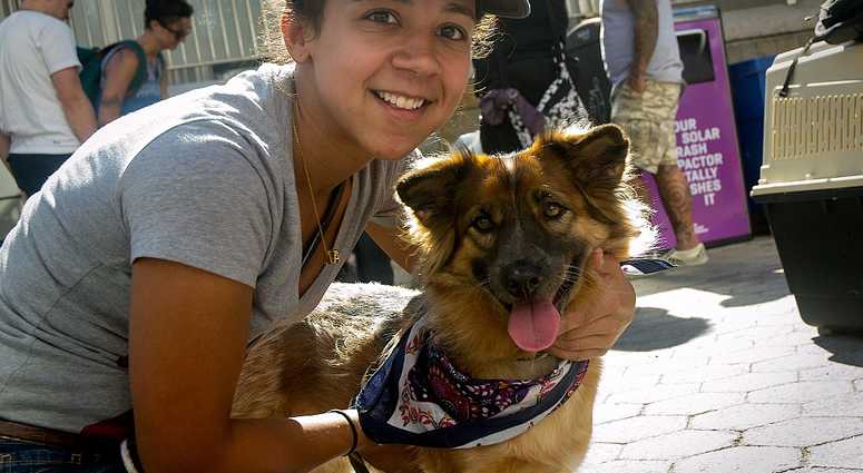 Mayor's Alliance for NYC's Animals Adoptapalooza (Photo: Carol Zytnik)