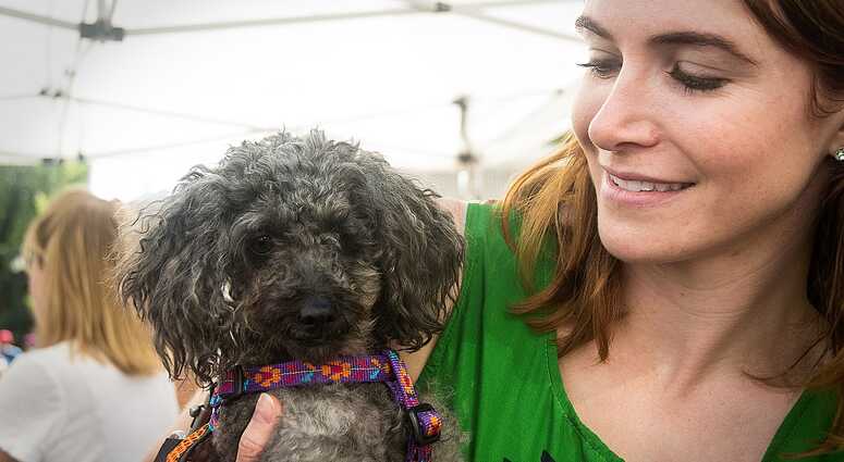 Mayor's Alliance for NYC's Animals Adoptapalooza (Photo: Carol Zytnik)