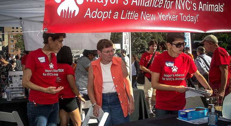 Mayor's Alliance for NYC's Animals Adoptapalooza (Photo: Carol Zytnik)