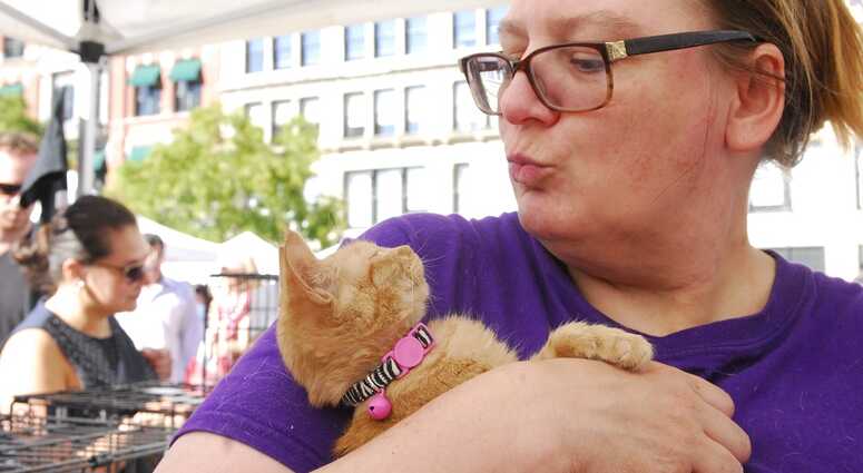 Mayor's Alliance for NYC's Animals Adoptapalooza (Photo: Dana Edelson)