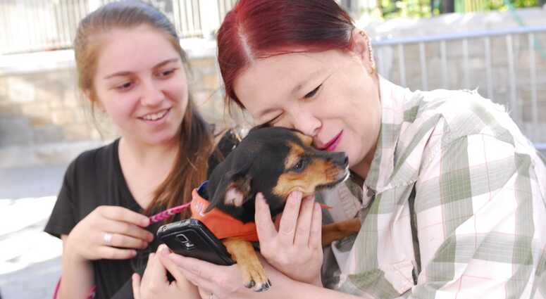 Mayor's Alliance for NYC's Animals Adoptapalooza (Photo: Dana Edelson)