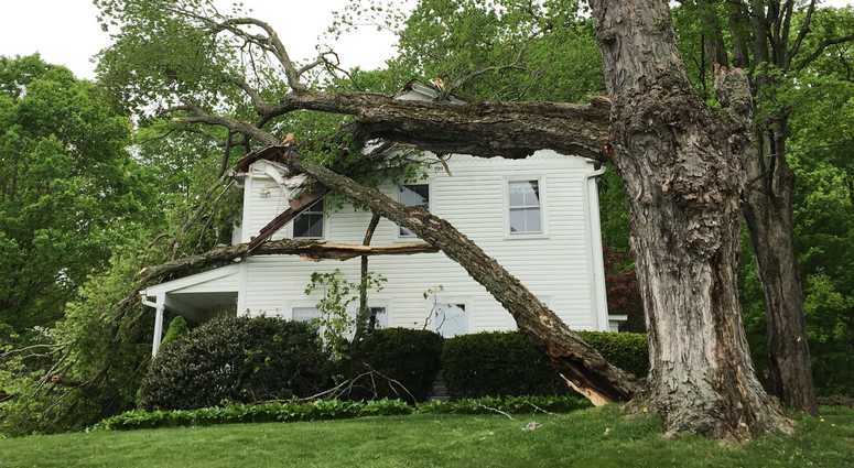 The Cabaret Law is gone, and the time is right for dancing in the street… https://1010wins.radio.com/articles/broadway-dance-parade-will-celebrate-repeal-city-s-cabaret-law A storm sent this tree crashing into Connecticut home.