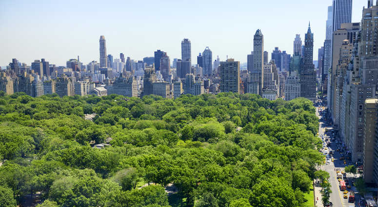 Central Park Central Park