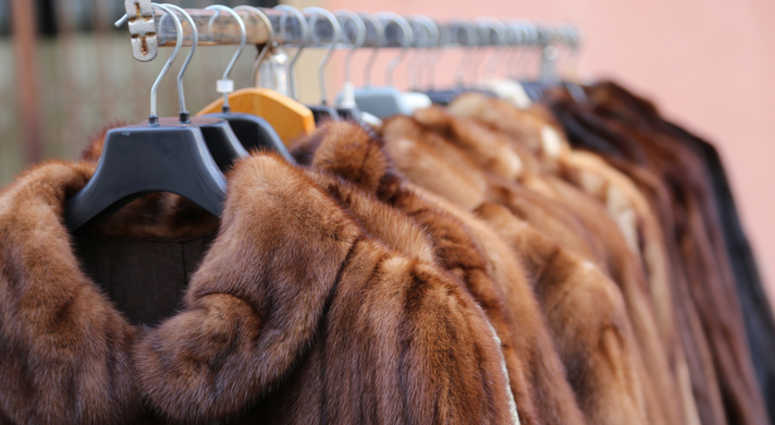 Fur coats Fur coats