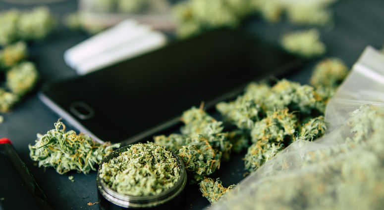 marijuana marijuana