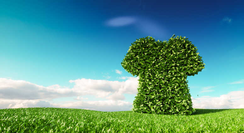 Sustainable Clothing