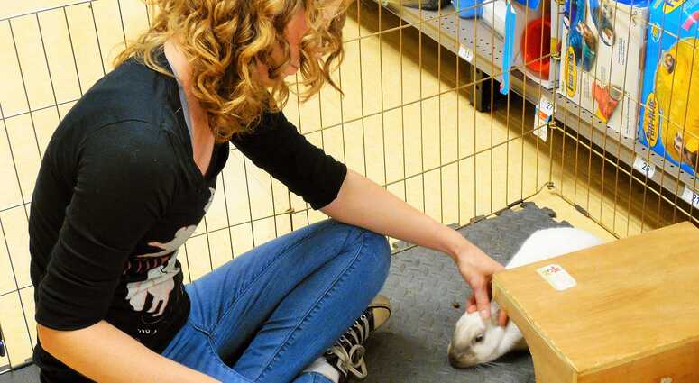 Mayor's Alliance for NYC's Animals Adoptapalooza (Photo: Maureen Smith)