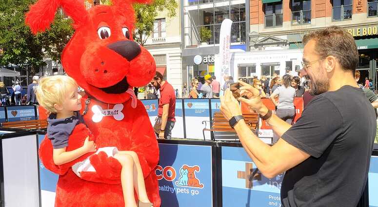 Mayor's Alliance for NYC's Animals Adoptapalooza (Photo: PawPrints By Dave)